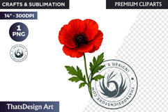 Flower Clipart PNG, Botanical Illustration Floral graphic Product Image 1