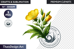 Medicinal Herbs clipart PNG, Apothecary Botanical Graphic Product Image 1