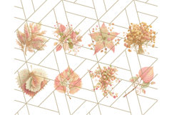 Fall Foliage Clipart PNG, Pink and Green Leaves Product Image 8