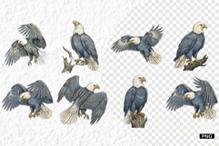 Patriotic American Eagle Clipart Product Image 1