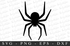Spider SVG | SVG Cut files | Cricut Product Image 1