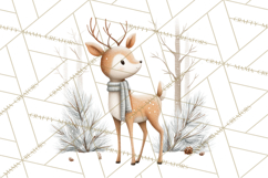 Cozy Winter Animals Clipart PNG, Neutral Woodland Critters Product Image 2