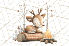 Cozy Winter Animals Clipart PNG, Neutral Woodland Critters Product Image 5