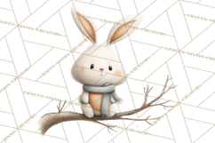 Cozy Winter Animals Clipart PNG, Neutral Woodland Critters Product Image 4