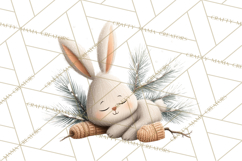 Cozy Winter Animals Clipart PNG, Neutral Woodland Critters Product Image 5