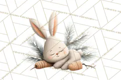 Cozy Winter Animals Clipart PNG, Neutral Woodland Critters Product Image 5