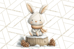 Cozy Winter Animals Clipart PNG, Neutral Woodland Critters Product Image 2