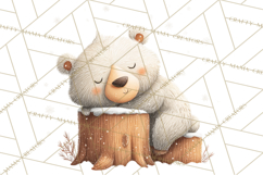 Cozy Winter Animals Clipart PNG, Neutral Woodland Critters Product Image 5