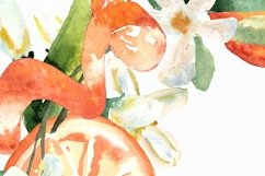 Watercolor Oranges Clipart + Wreath Product Image 2