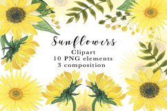 Watercolor Sunflower clipart Product Image 1