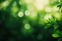 Green Leaves with Bokeh Background Wallpaper Product Image 1