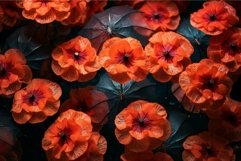 Vibrant orange poppies under soft light Product Image 1