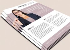 Company Flyer Product Image 2