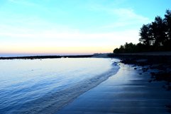 Nature_06 Product Image 1