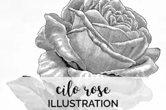 Rose Clipart Black and White - Floral Illustration Cilo Rose Product Image 1