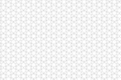 Ornamental seamless patterns. Product Image 2