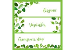 Organic horizontal banners with salad leaves Product Image 1