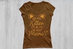 Are you kitten me right meow? SVG, cat svg, kitten svg. Product Image 2