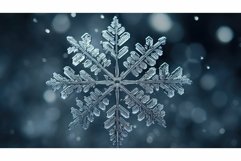 surface gray snowflakes Product Image 1