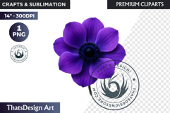 Flower Clipart PNG, Botanical Illustration Floral graphic Product Image 1