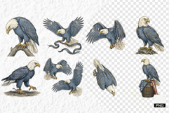 Patriotic American Eagle Clipart Product Image 1