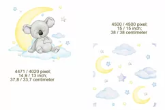 watercolor koala clip art Baby Koala. little animals clipart Product Image 3