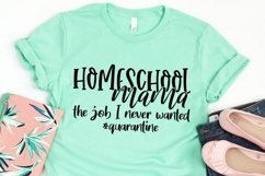 Homeschool Mama svg, The job I never wanted, Online School Product Image 1