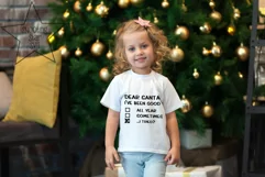 Dear Santa I Tried - Naughty or Nice SVG - Christmas SVG Product Image 2