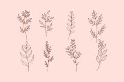 Hand-Draw With Herb And Flowers Collection Product Image 1