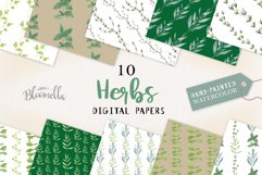 Herbs Seamless Patterns Digital Papers Mint Basil Sage Thyme Product Image 1