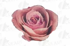 Watercolor bridal flowers on summer berry colors clip art Product Image 21