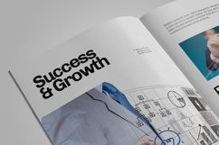 Indesign Business Company Product Image 4