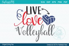 Live Love Volleyball Product Image 1