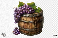 Summer Grapes Vine Clipart Product Image 1