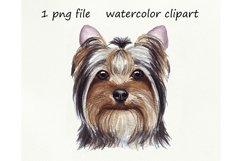 Watercolor dog png, Yorkshire Terrier, hand drawn Product Image 1