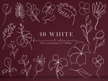 One Line Floral Clipart - Linear Art Product Image 5