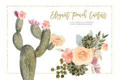 Elegant Peach Succulent Clipart Set, Cacti succulent Product Image 2