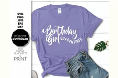 Birthday Princess Quarantined SVG, Birthday Shirt SVG Product Image 1