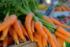 Freshly picked carrots with green tops lying on wooden table Product Image 1