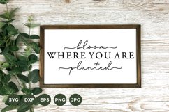 Farmhouse Sign SVG | Bloom where you are Planted SVG Product Image 1