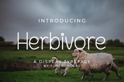 Web Font Herbivore Product Image 1