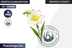 Flower Clipart PNG, Botanical Illustration Floral graphic Product Image 1