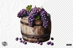 Summer Grapes Vine Clipart Product Image 1