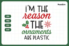 Christmas Cat Bandana Quotes SVG | Ornaments Are Plastic Product Image 3