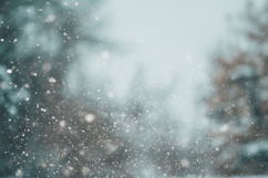 Winter Forest Background Design, Winter Background PNG Product Image 1