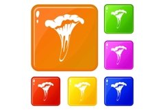 Chanterelle icons set vector color Product Image 1
