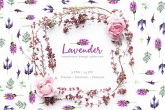 lavender Watercolor png Product Image 1