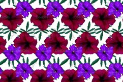 12 Seamless colorful FLOWER patterns bundle. Digital Paper Product Image 8
