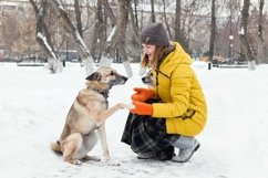 Young woman with her two dogs in a snowy winter park. Product Image 1