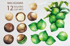 Watercolor Macadamia collection Product Image 2